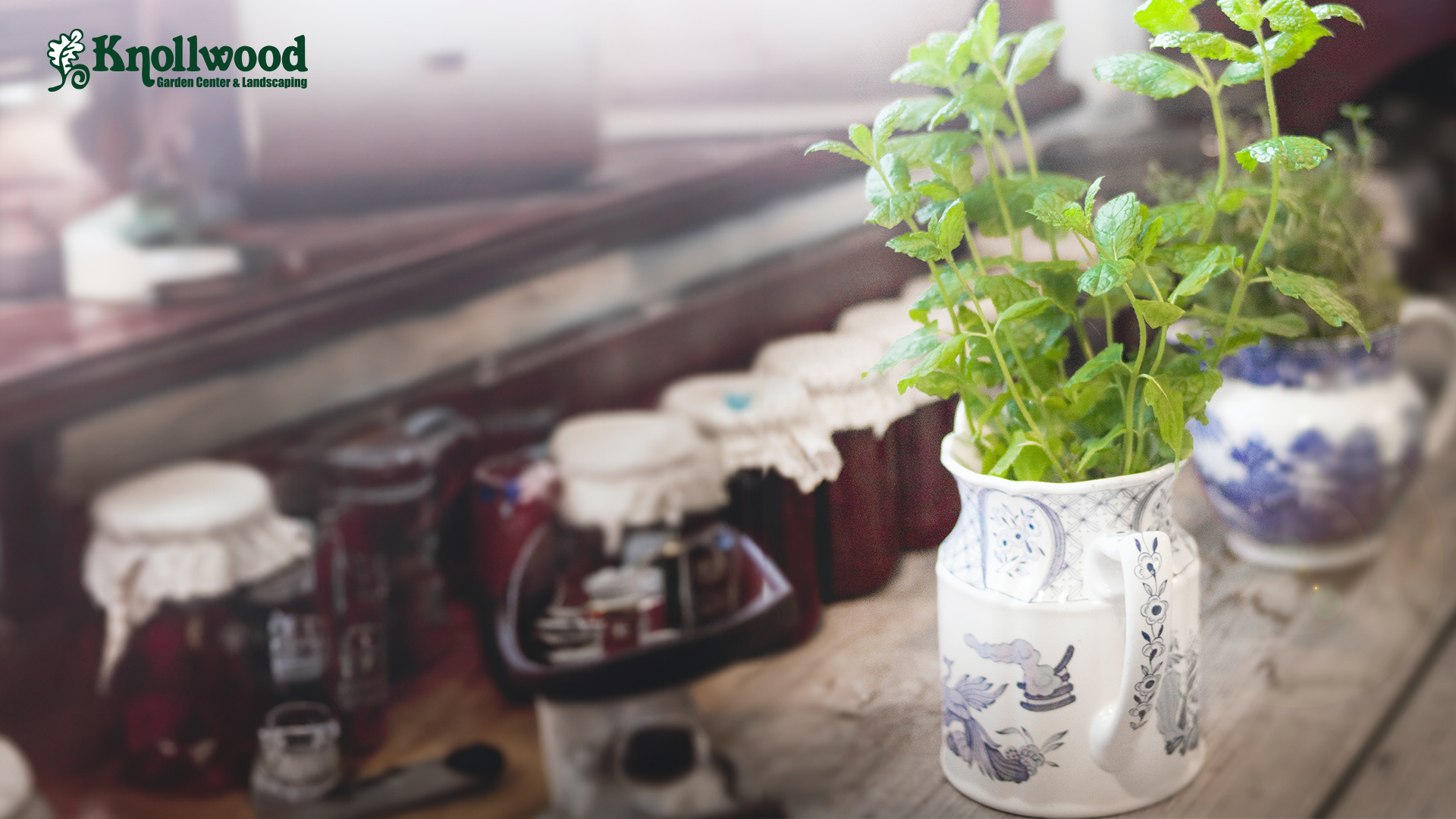 Herbs in a pitcher